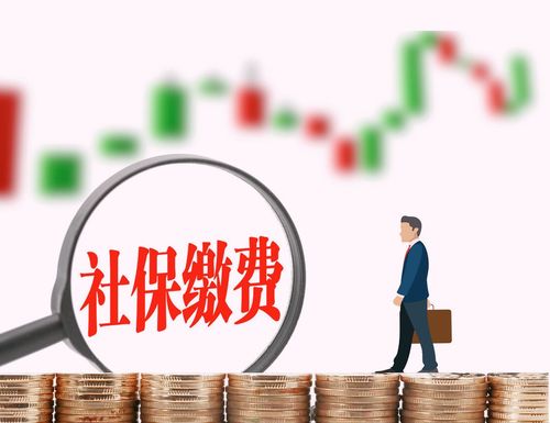 如何查詢公司養(yǎng)老保險(xiǎn)繳費(fèi)檔次 60%、100%還是300%？
